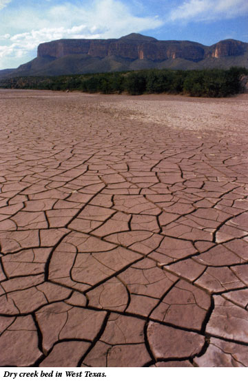 Dry creek bed in West Texas