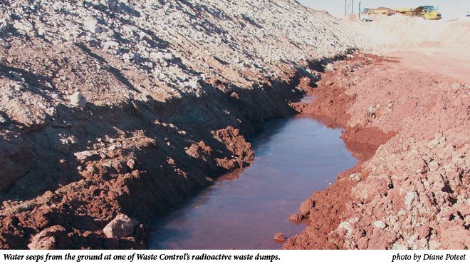 Water seeps from the ground at one of Waste Control's radioactive waste dumps. Photo by Diane Poteet. 