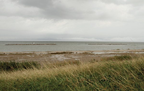 Test beds underneath Corpus Christi Bay