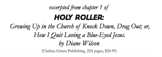 exceprt from Holy Roller