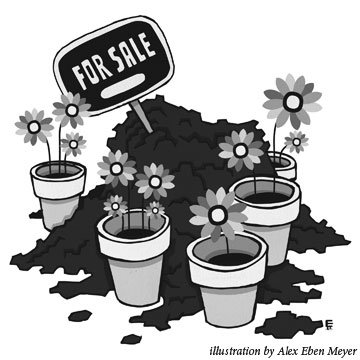 Illustration by Alex Eben Meyer