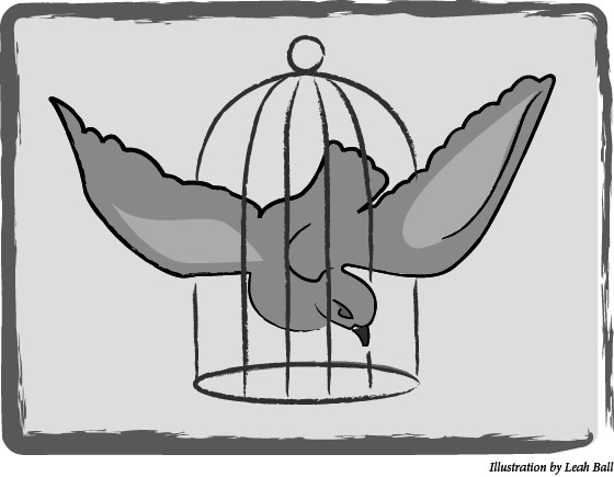 Caged Bird Illustration by Leah Ball