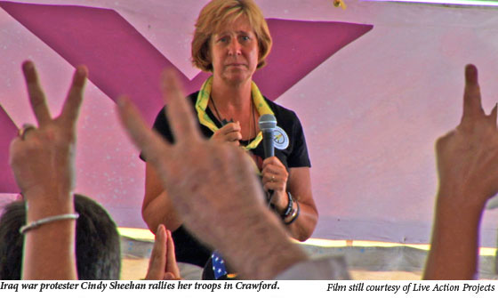 Cindy Sheehan