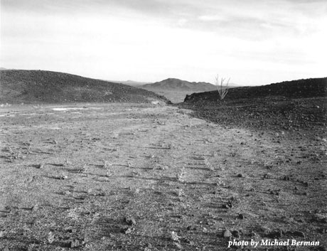 Photo by Michael Berman