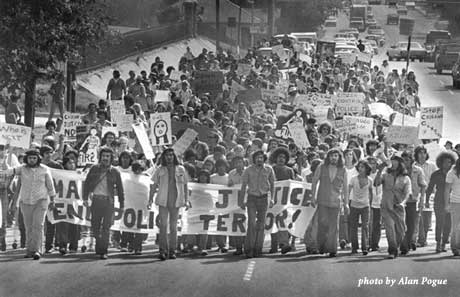 The Brown Berets by Alan Pogue