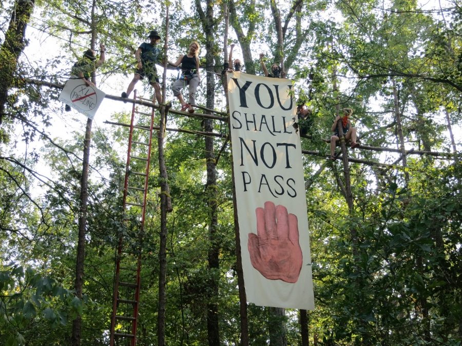 A protest tree sit in East Texas.