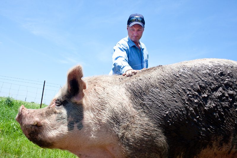 Denis Wauson and Tater the pig