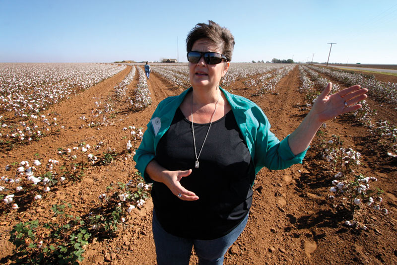 LaRhea Pepper explains the process of transitioning a traditional cotton crop to organic on a plot outside of Lamesa.