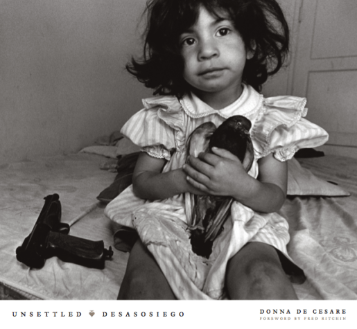 Cover of Donna DeCesare's Unsettled