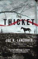 thicket - joe lansdale
