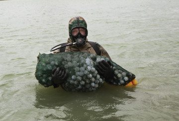 Brett Parker diving for golf balls at The Lakes at Castle Hills golf course in Lewisville.