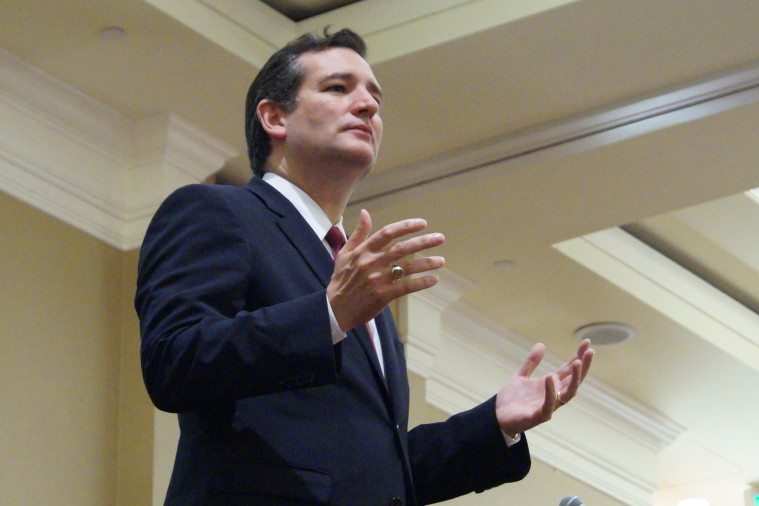 Ted Cruz addresses an anti-gay marriage rally during the Republican state convention on June 5, 2014.