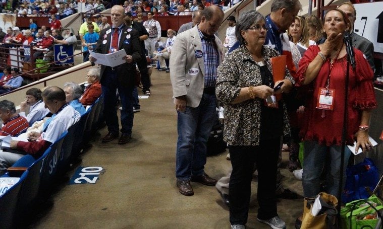Sara Legvold, front left, gets ready to offer a motion at the Texas Republican Party's 2014 convention.