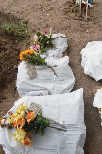 Flowers on human remains — mass graves