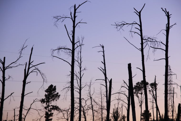 The sun sets over Bastrop County, burned trees and barren land marring its horizon.