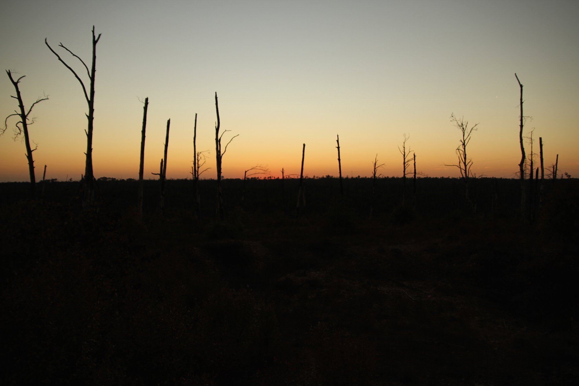 The sun sets over Bastrop County, burned trees and barren land marring its horizon.