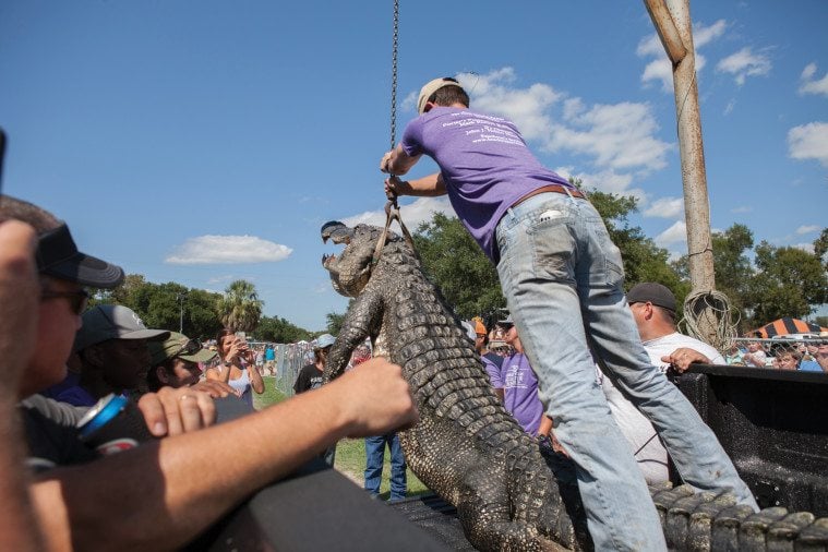 Zachary Smith at the 2015 Gatorfest in Anahuac