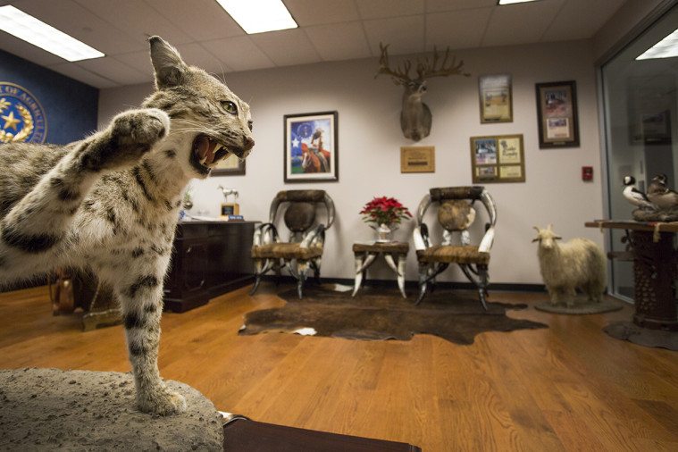 The lobby of the Texas Department of Agriculture, where Agriculture Commissioner Sid Miller spent $55,000 on furniture and decor to outfit his new office.