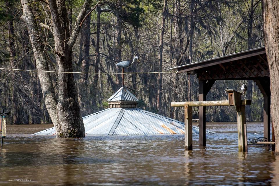 Flooding in Uncertain, Texas on Caddo Lake in March 2016.