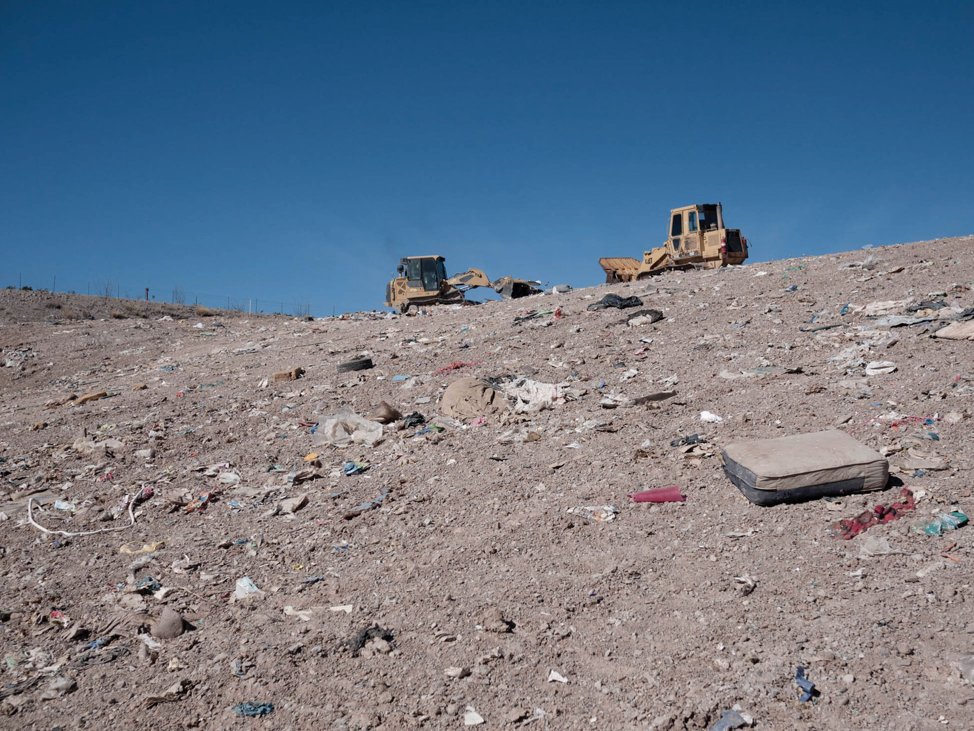In November 2015, an unprecedented 76 dead horses and burros were disposed of at Presidio's landfill.