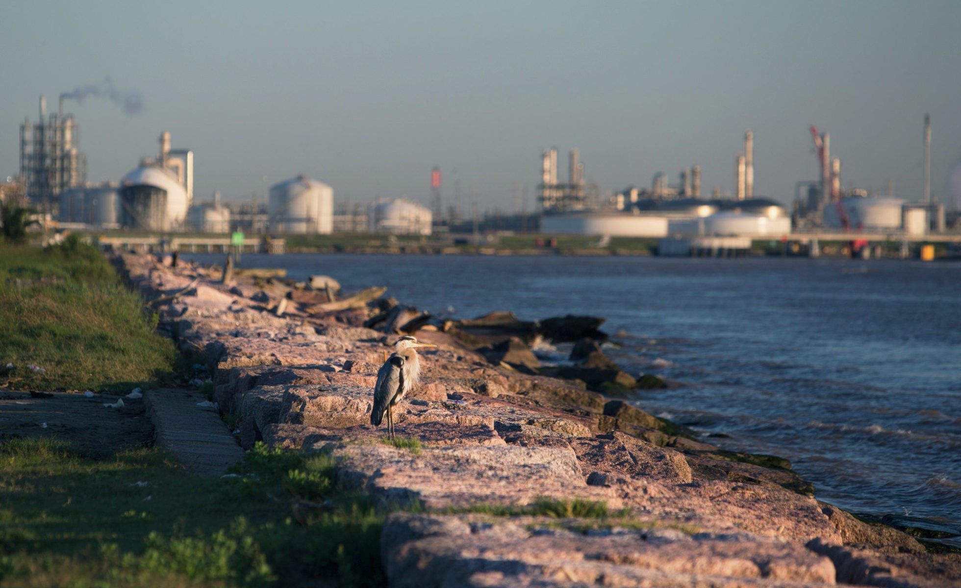 June 2016 feature, Quintana, Freeport LNG, seagull