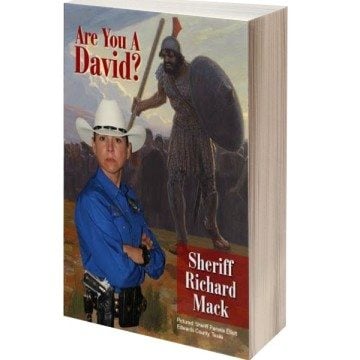 Are You A David? book cover featuring Pamela Elliott.