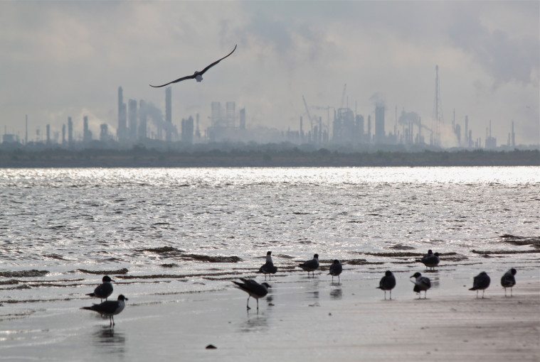 The ExxonMobil refinery in Baytown.