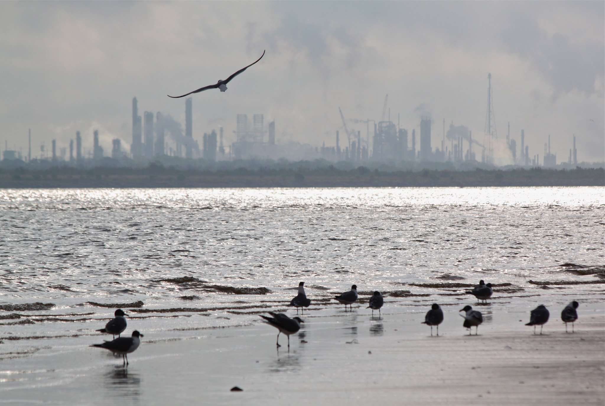 The ExxonMobil refinery in Baytown. Officials in the Virgin Islands are currently looking into whether the oil giant misled its shareholders, but Texas Attorney General Ken Paxton has filed a court brief hoping to stop the investigation.