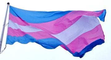 The blue and pink transgender pride and rights flag.