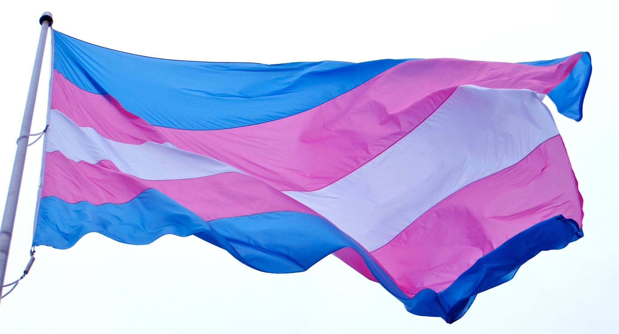 The blue and pink transgender pride and rights flag.