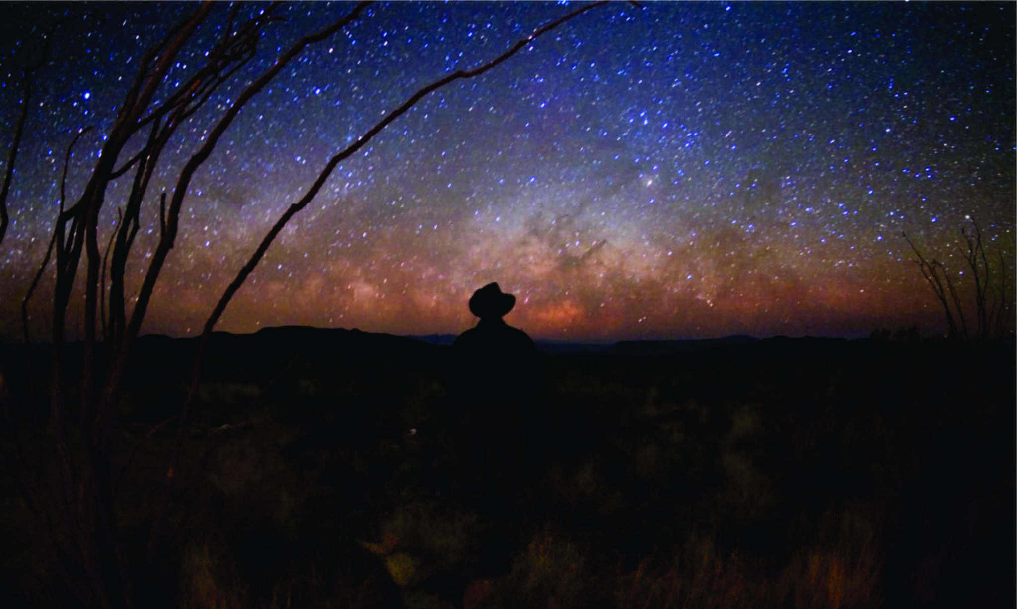 Texas Landscape Project - Big Bend night sky