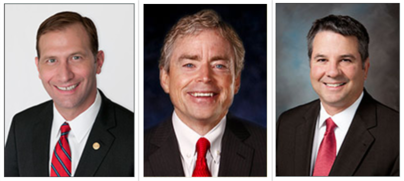 Senators Charles Schwertner, Don Huffines and Charles Perry