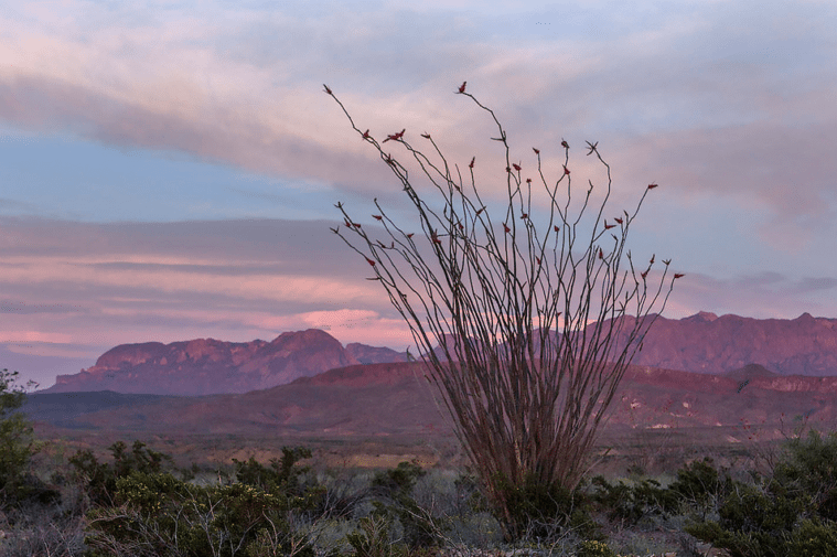 Sunset over the Chisos Mountains in Big Bend National Park