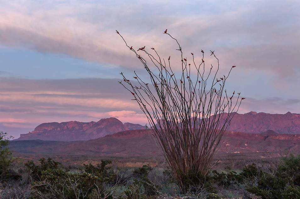 Sunset over the Chisos Mountains in Big Bend National Park