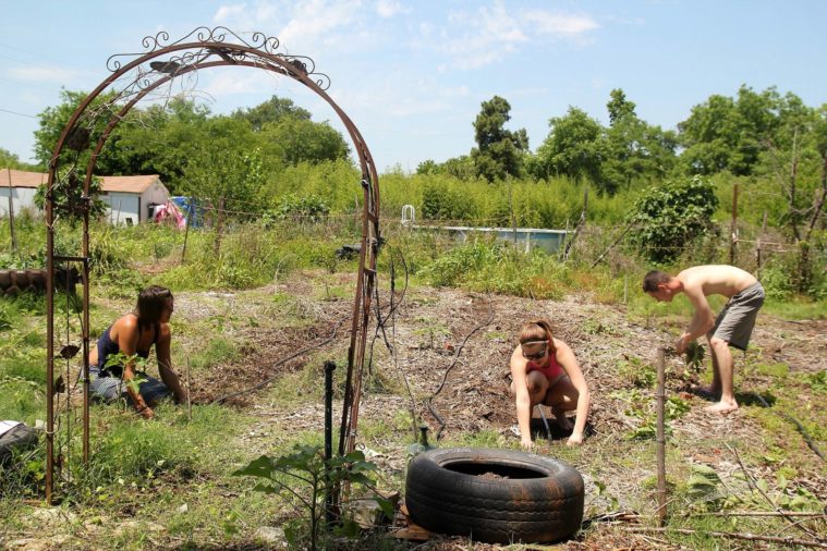 Residents and visitors work in a garden at the Garden of Eden