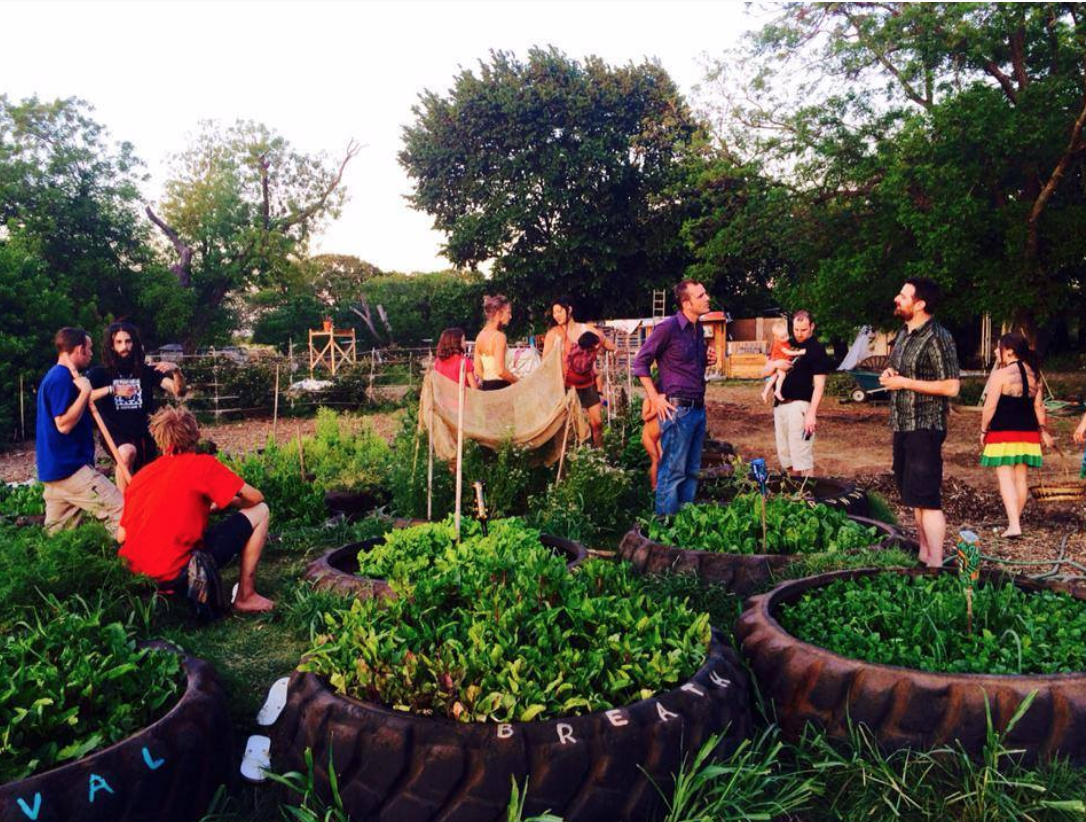 Garden of Eden residents and visitors in the garden