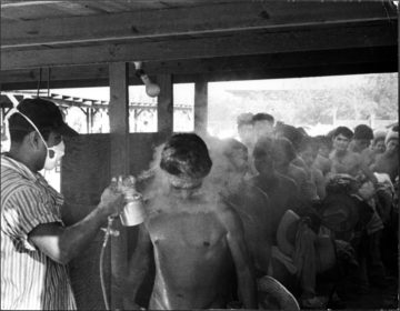 braceros, border fumigation, el paso art