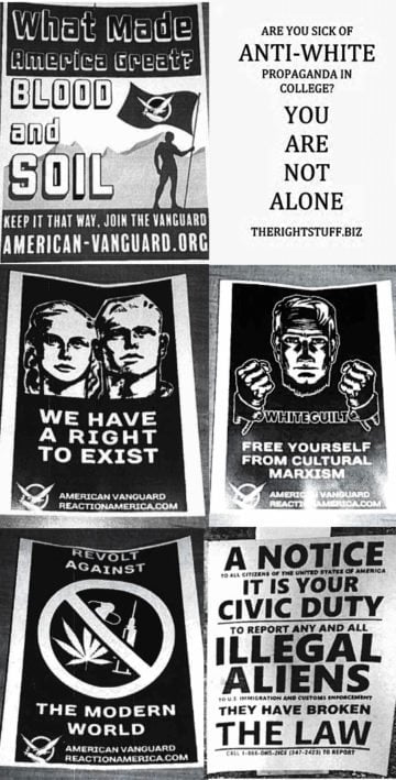 alt-right, american nazis