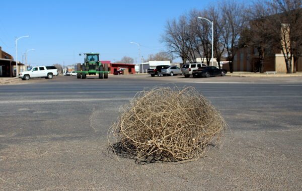rural reporting, tumbleweed, tractor