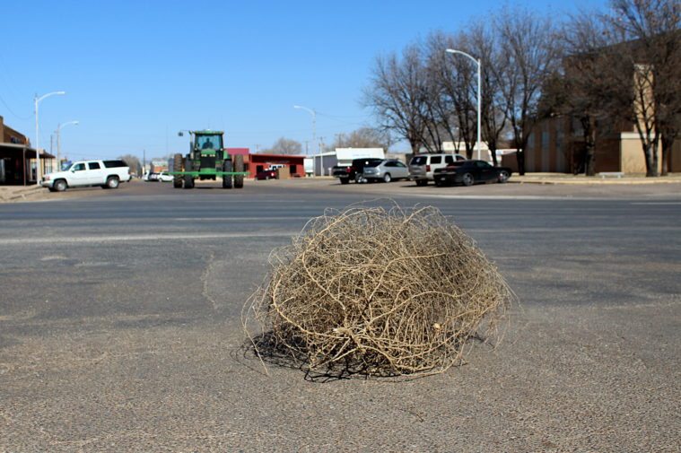 A tumbleweed rolls through downtown Morton, Texas.