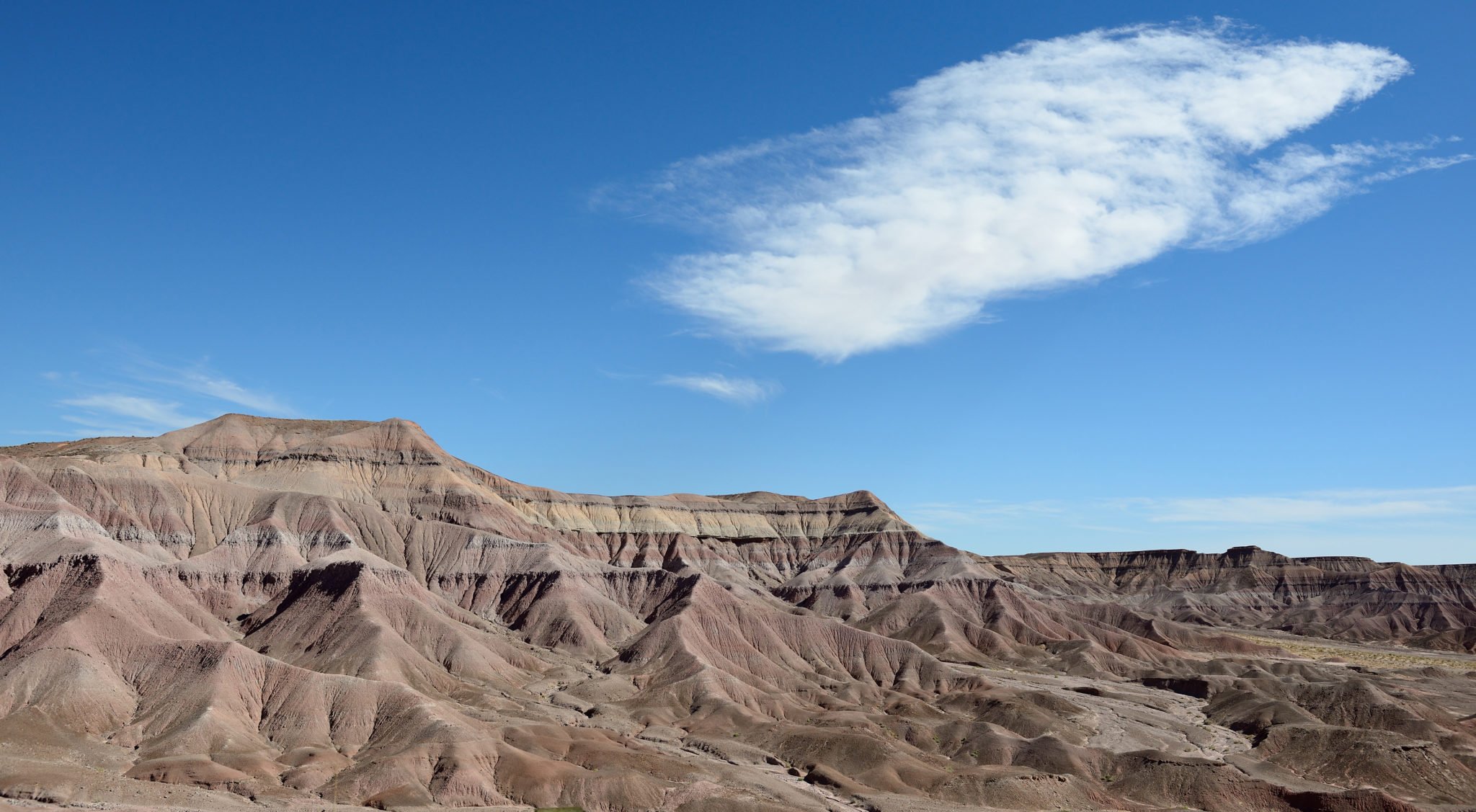 edward abbey, book review, charles bowden