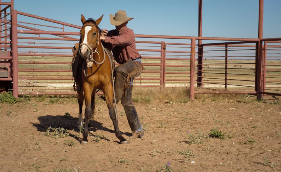 Texan farmers and ranchers operate almost exclusively in rural parts of the state, where access to health care is abysmal.