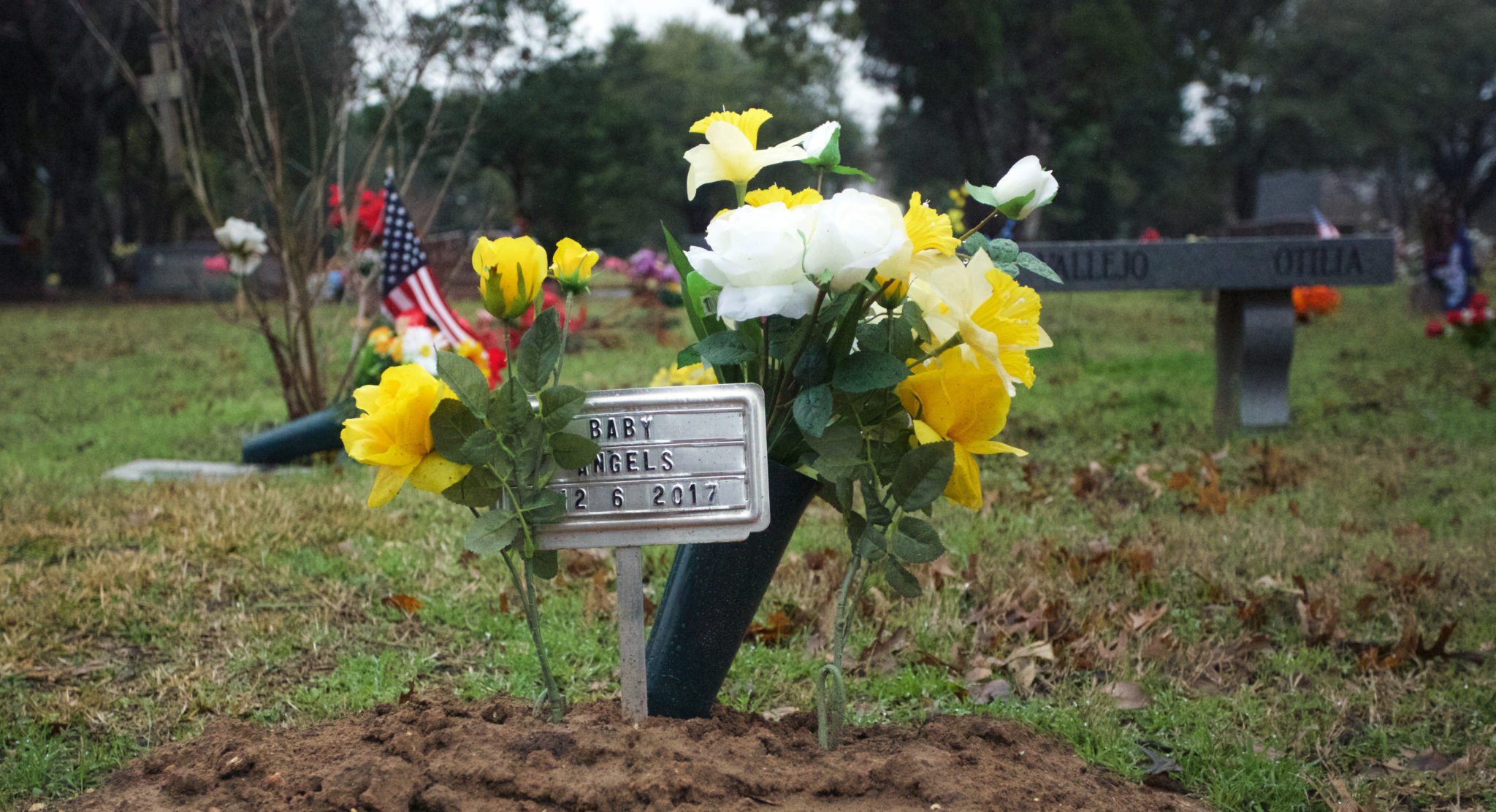 seton, fetal remains, cemetery