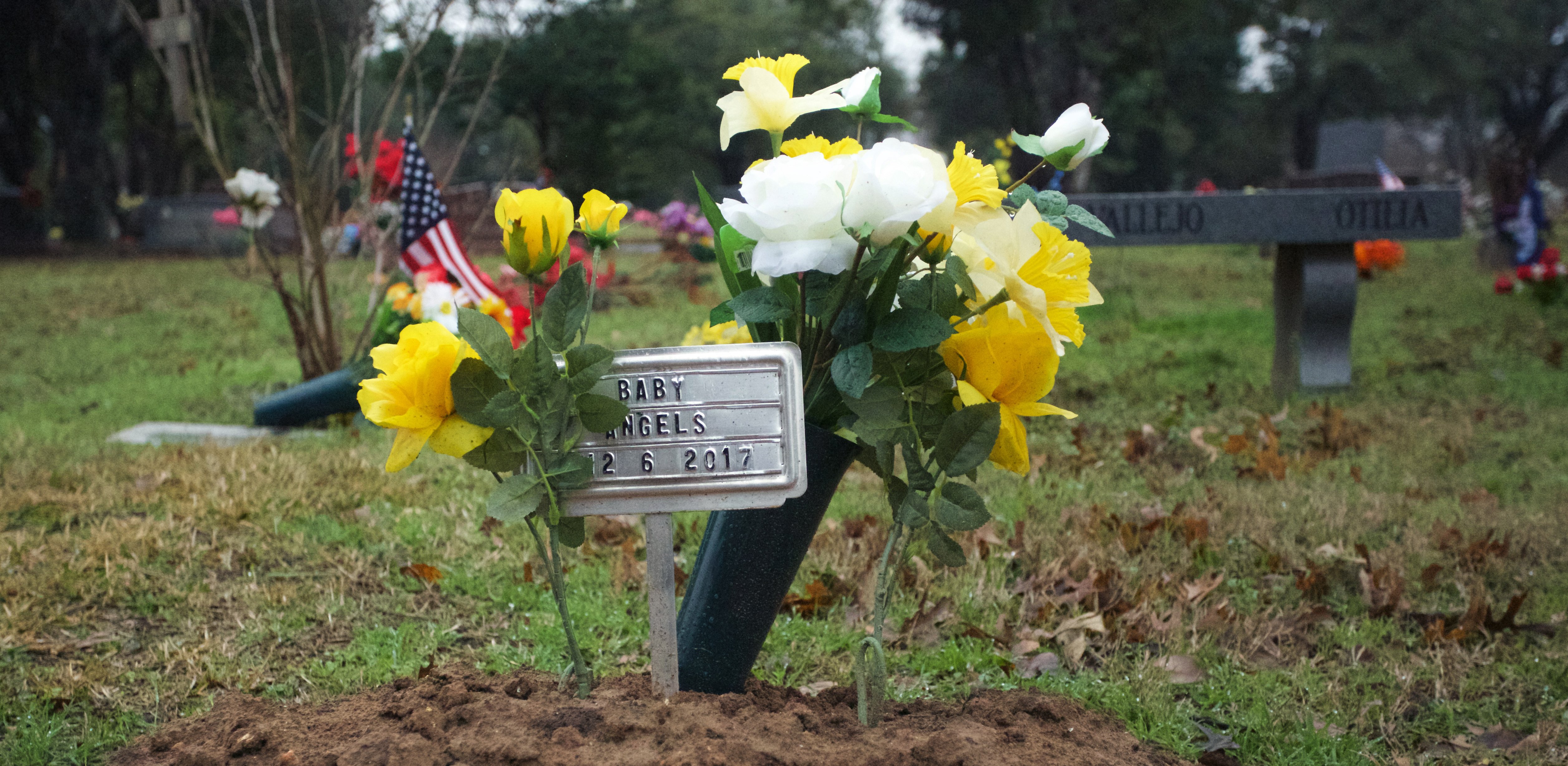 a small grave marked with the placard "baby angels" surrounded by yellow flowers