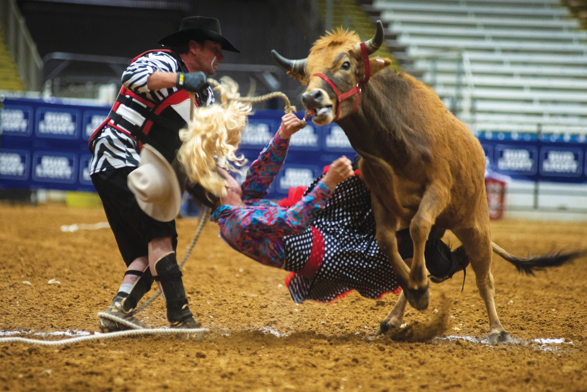 gay rodeo