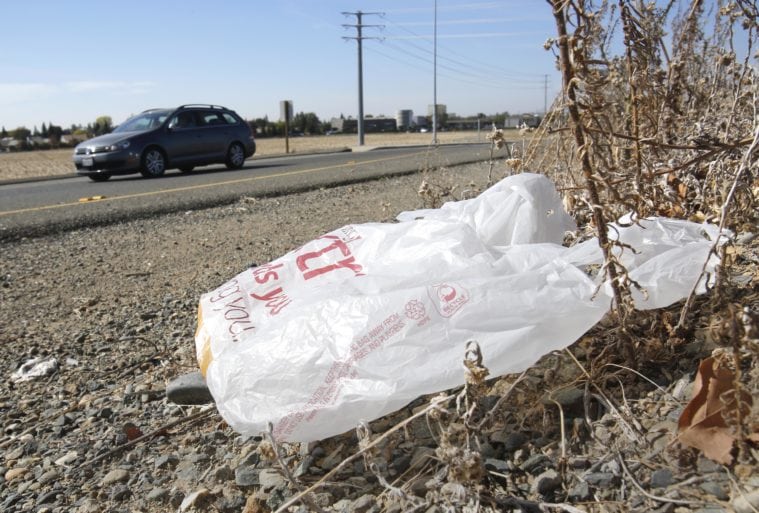 The ruling puts the decision to provide plastic bags squarely on retailers.