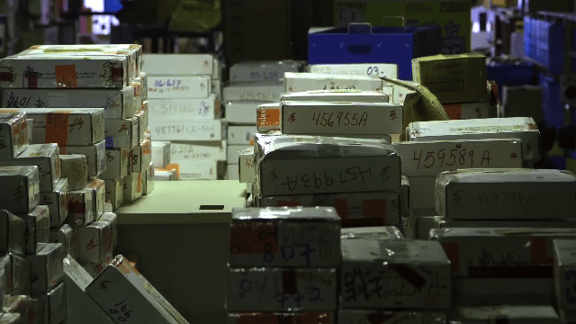 rape kit backlog