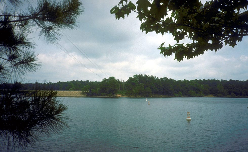 The Environmental Integrity Project report found that in 2017, the Pilgrim’s Pride facility Mt. Pleasant pushed an average of 1,755 pounds of nitrogen each day into tributaries of Lake O’ the Pines.