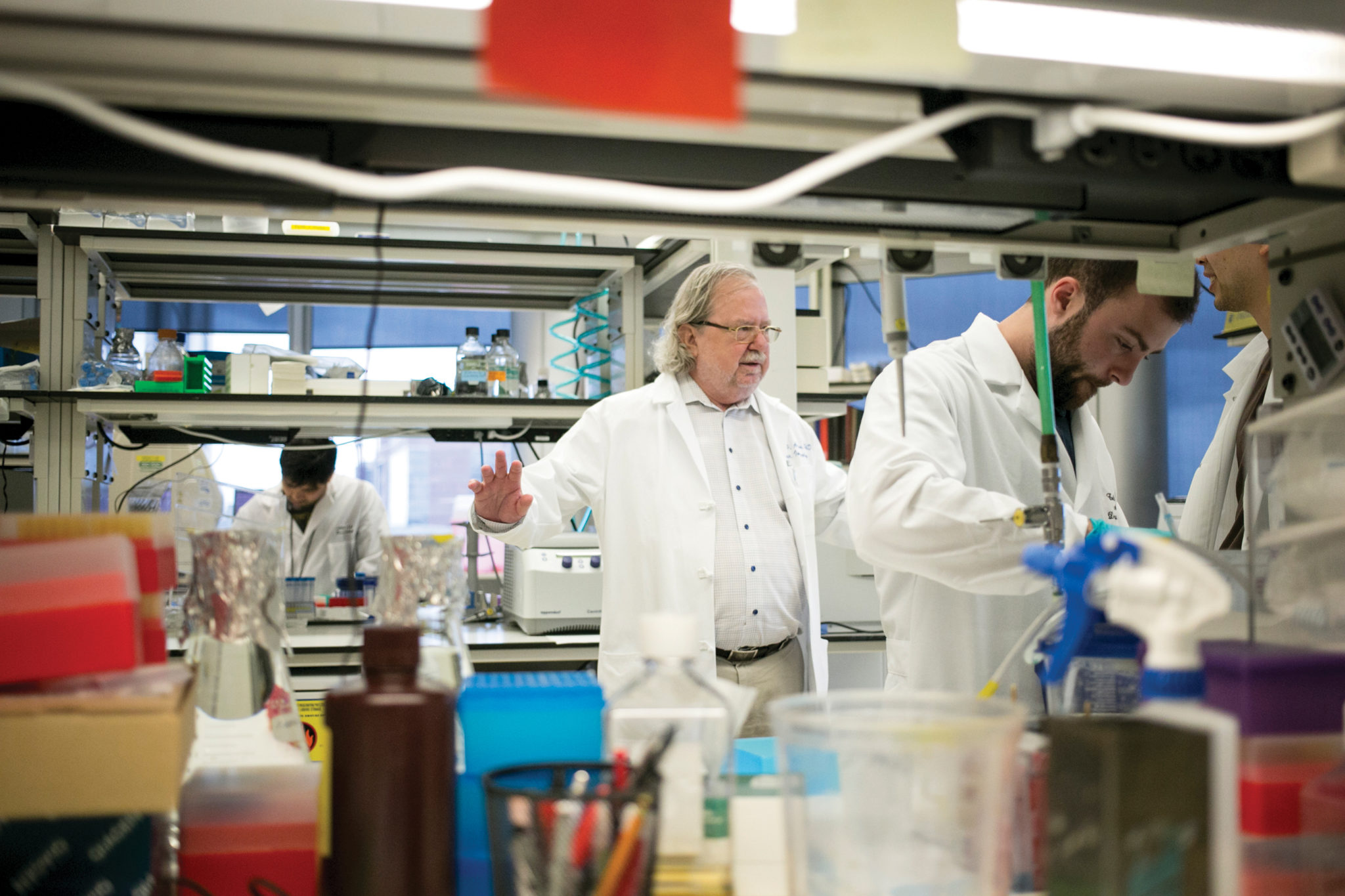 james allison, immunology, cancer research, nobel prize