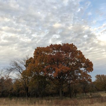 Fairfield Lake State Park